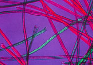 Acrylic fibres under polarised light