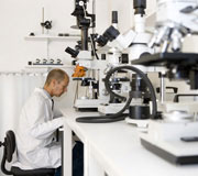 Analysis of speciality fibres